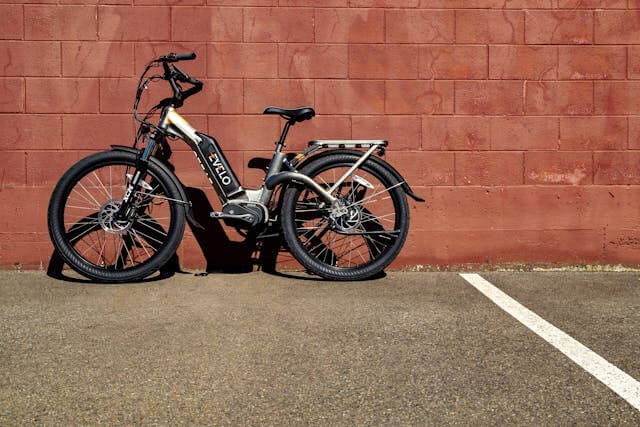 e-bike algemeen gebruikelijk